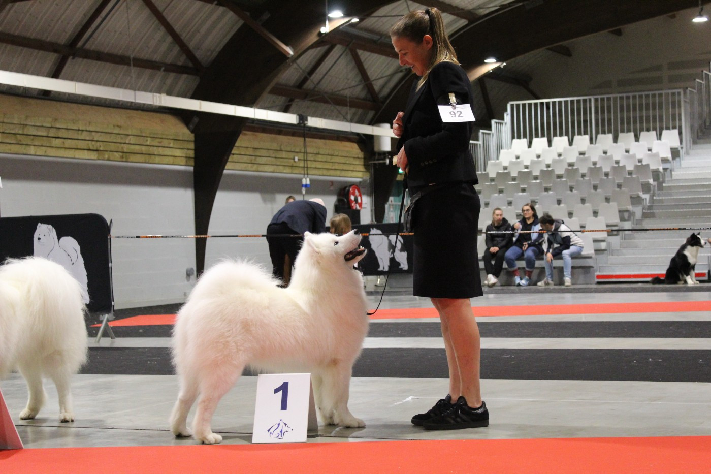 Viaggio idro Swirls Of Light